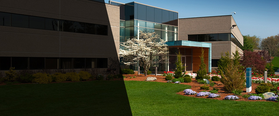 Dundas Landscapers