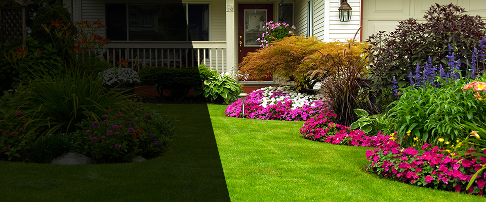 Dundas Landscapers