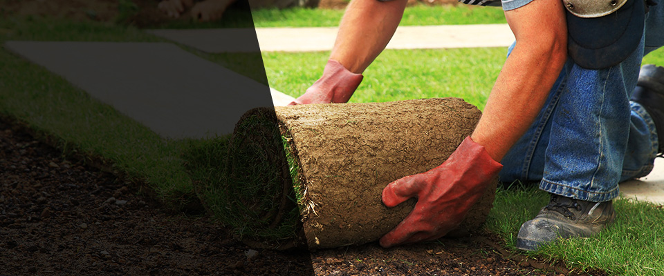 Dundas Landscapers
